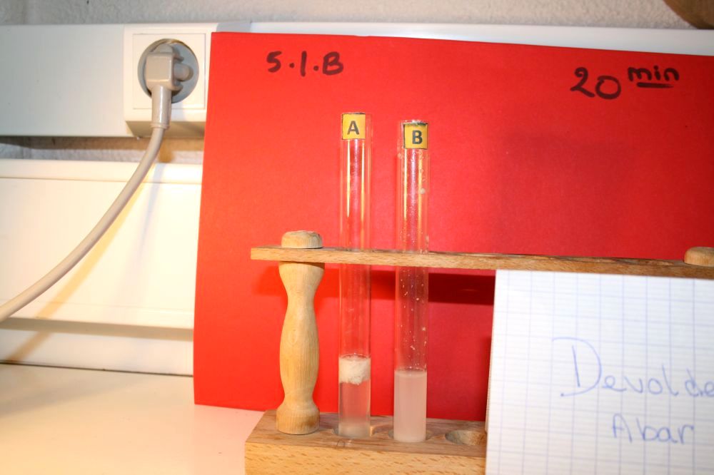 gal/LES_CINQUIEMES/ACTIVITE DIGESTION IN VITRO/Groupe_03/Groupe03_T_00h20min/Groupe03_temps00H20min_29.jpg